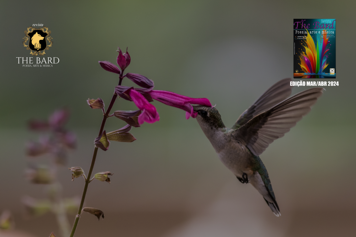 POETAS E POETISAS – Colibri por J.B Wolf