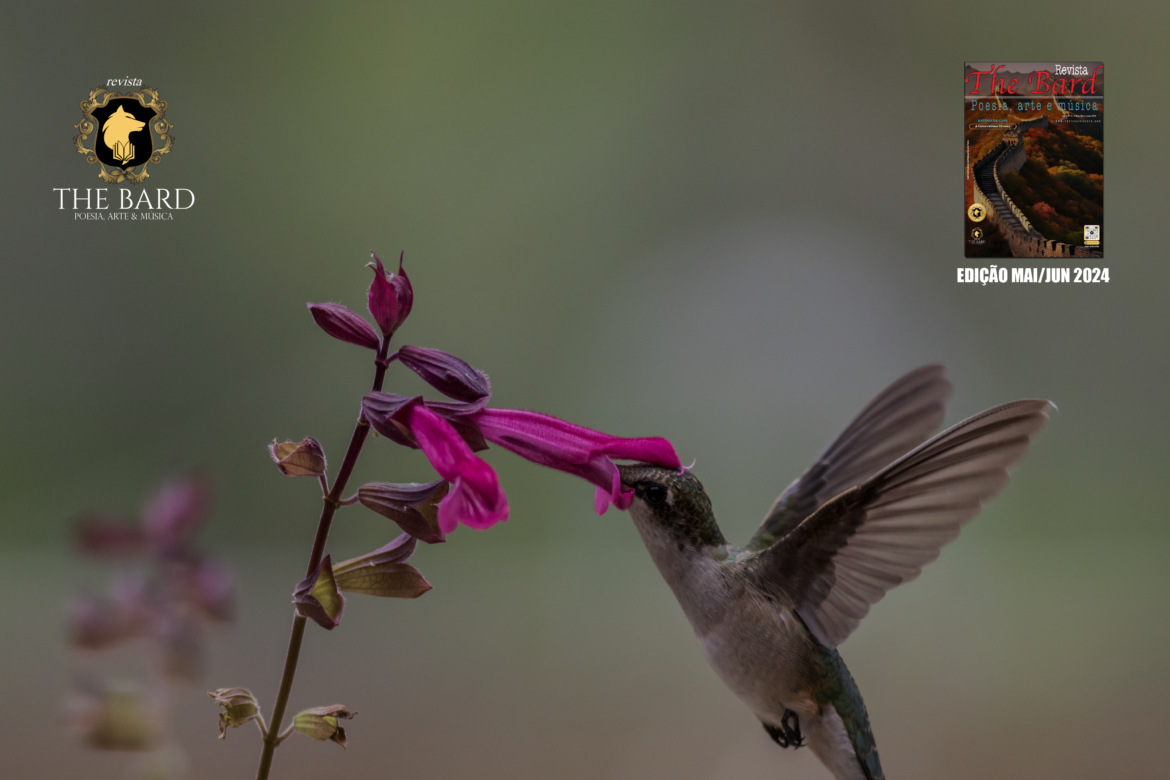 POETAS E POETISAS – Colibri por J.B Wolf