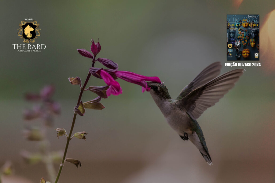 POETAS E POETISAS – Colibri por J.B Wolf