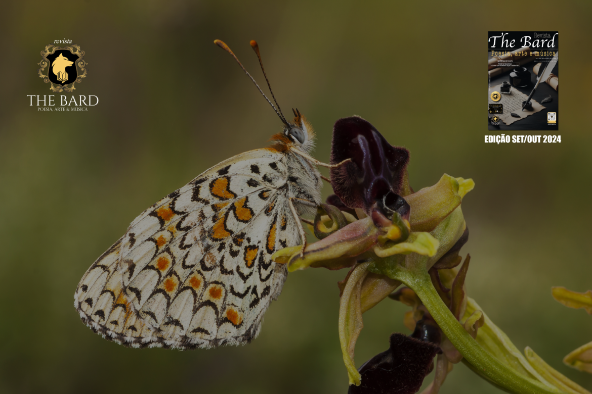PROSA POÉTICA – Metamorfosear por Jeane Tertuliano